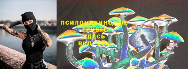 MESCALINE Верея